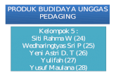 Produk Budidaya Unggas Pedaging