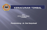 Ppt Timbal