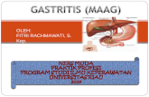 Flipchart Gastritis