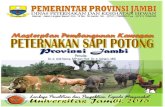 Master Plan Pengembangan Kawasan Peternakan Sapi Potong ... ternak sapi potong dilakukan terintegrasi