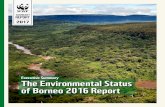 BORNEO FOREST 2017-07-10¢  6 ¢â‚¬¢ Executive Summary The Environmental Status of Borneo 2016 Report Proboscis