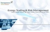 Energy Trading & Risk Management Market Research Report- Forecast to 2024