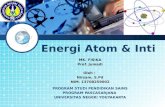 Energi Atom dan Inti, NIRSAM