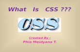 What   is   css