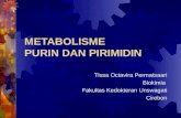 METABOLISME  PURIN & PIRIMIDIN dg gb.ppt