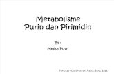 Metabolisme Purin Dan Pirimidin Student Copy Untuk Moodle