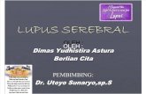 Lupus Serebral Sle