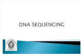 Dna Squencing