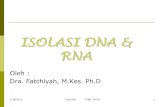 Isolasi DNA RNA Elktroforesi1