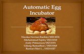 Automatic egg incubator