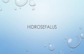HIDROSEFALUS - med.unhas.ac.id .penurunan kognitif dan inkontinensia urin. ANATOMI â€¢Ruangan cairan