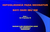 HIPOGLIKEMIA PADA NEONATUS BAYI DARI IBU DM . Hipoglikemia_0.pdf¢  ETIOLOGI HIPOGLIKEMI A. Causes of