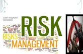 Risk Management Of International Case Study by Herry Windawaty