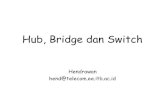 10 hub bridgeswitch