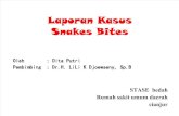 Snakes Bite Lapkas