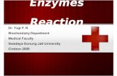 25081375 Enzymes Reaction