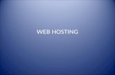 WEB HOSTING