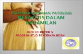 Presentasi Hepatitis Dalam Kehamilan new.ppt