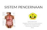 1. Anatomi Dan Fisiologi Sistem Pencernaan