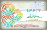 insect bite.ppt