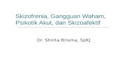 Dr. Shinta - Skizofrenia, Gangguan Waham, Gangguan Psikotik Sementara, Skizoafektif
