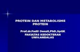 Protein Dan Metabolisme Protein