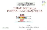 Diet Pd Penyakit Sal. Cerna 12