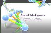 Alkohol Dehidrogenase
