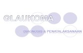 Glaukoma - FD