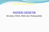 2.2. Dna, Rna, Polipeptida