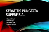 Keratitis Pungtata Superfisial