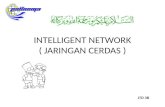 INTELLIGENT NETWORK ( JARINGAN CERDAS )