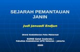 20090520 CTG 3. Sejarah Pemantauan Janin, RSPAD, JJE