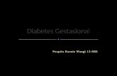 Diabetes Gestasional