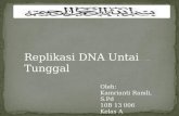 Replikasi  DNA  Untai  Tunggal