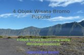 4 Objek Wisata Bromo Populer