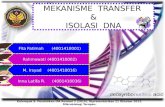 Mekanisme Transfer & Isolasi DNA