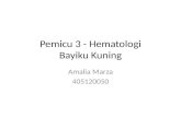 Pemicu 3 - Hematologi Amalia Marza