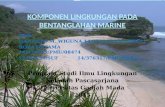 Ppt Marine Landscape