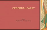 Pp cerebral palsy