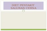 Diet Penyakit Sal Cerna