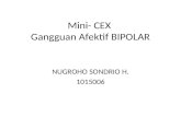 Mini-cex Bipolar
