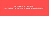Risk Management and Internal Auditor