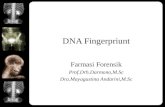 DNA Fingerpriunt