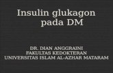 Metabolisme Insulin Glukagon
