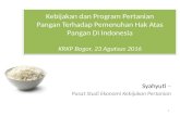 kebijakan dan program pangan (yuti)
