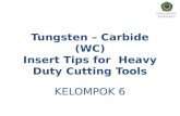 Tungsten Carbide Insert Tips Kelompok 6