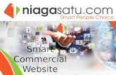 New niagasatu presentation